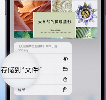 乾安apple维修中心分享iPhone文件应用中存储和找到下载文件