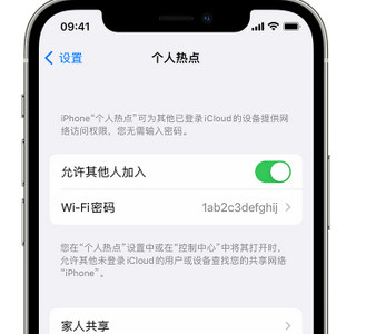 乾安apple服务站点分享iPhone上个人热点丢失了怎么办 