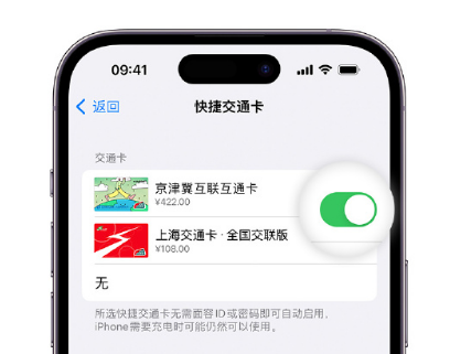 乾安apple维修点分享iPhone上更换Apple Pay快捷交通卡手绘卡面 