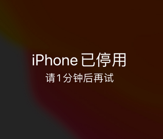 乾安苹果手机维修分享:iPhone 显示“不可用”或“已停用”怎么办？还能保留数据吗？ 