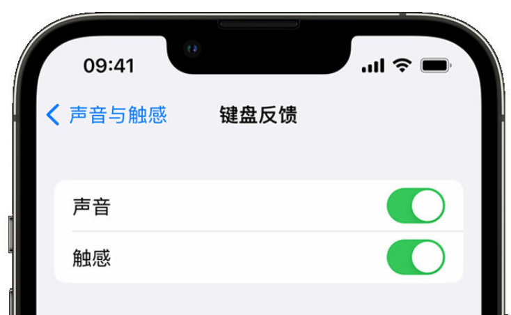 乾安苹果手机维修分享iPhone 14触感键盘使用方法 