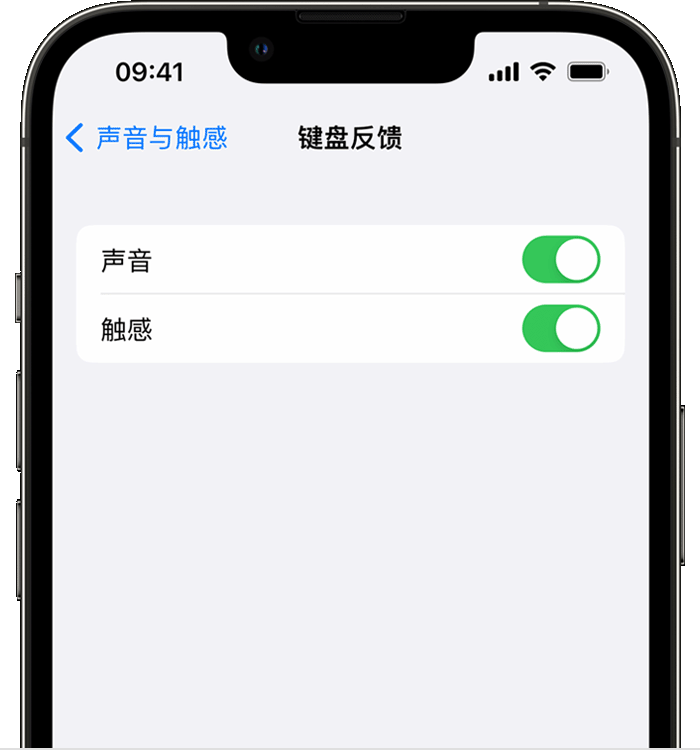 乾安苹果14维修店分享如何在 iPhone 14 机型中使用触感键盘 