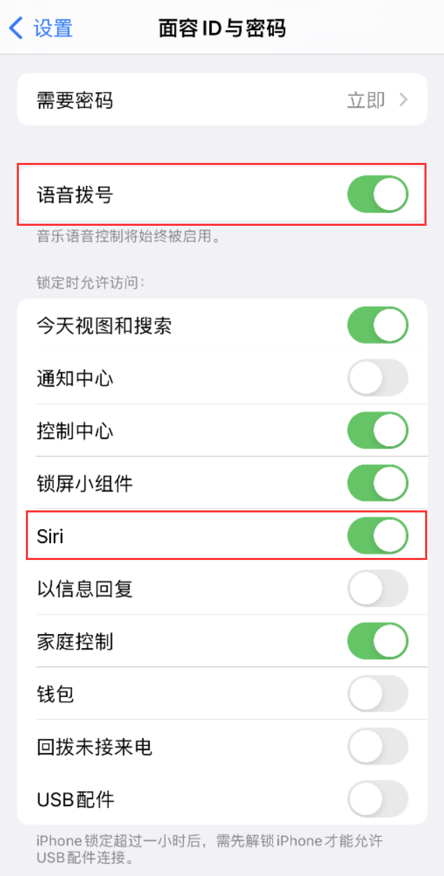 乾安苹果维修网点分享不解锁 iPhone 的情况下通过 Siri 拨打电话的方法 