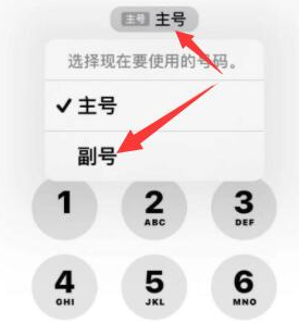 乾安苹果14维修店分享iPhone 14 Pro Max使用副卡打电话的方法 