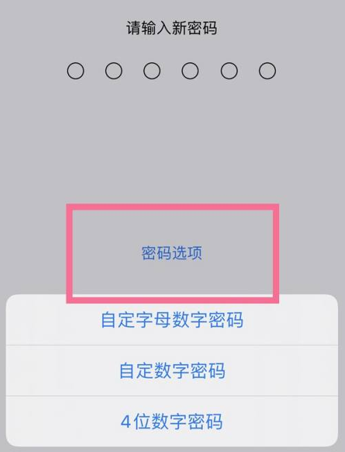 乾安苹果14维修分享iPhone 14plus设置密码的方法 