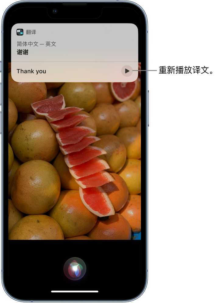 乾安苹果14维修分享 iPhone 14 机型中使用 Siri：了解 Siri 能帮你做什么 